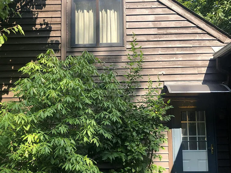 8376 Meadows Rd #COTTAGE — Photo 2