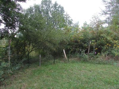 10426 E Wing Rd, Shepherd, MI, 48883