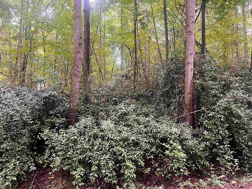 2nd image of 2009 Glennwood Hills Dr