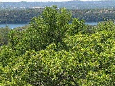 3818 Capitol Ave, Leander, TX, 78645