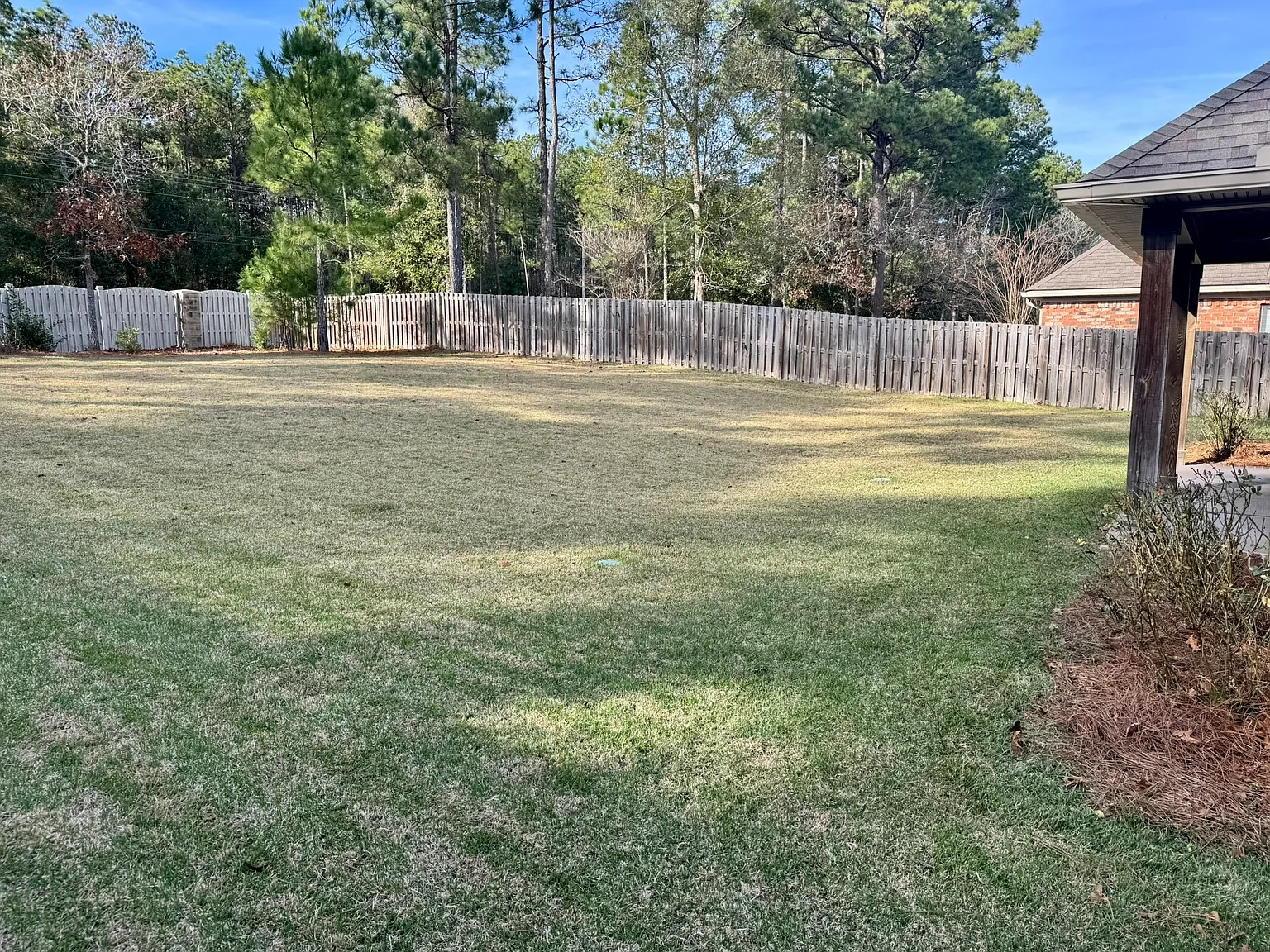 6991 Carson Lane - 1 — Photo 4
