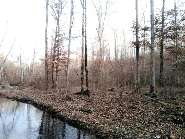 0 Deer Ridge Rd Lot 13, Waynesboro, TN 38485