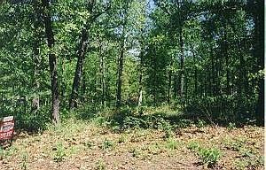 2nd image of Lakewood & Woodland