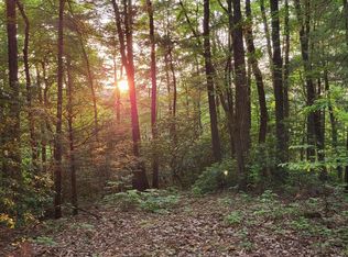 0 Bull Mountain Rd, Del Rio, TN 37727