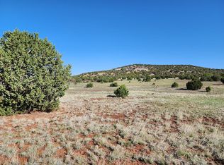 0 County Road 8286, Concho, AZ 85924