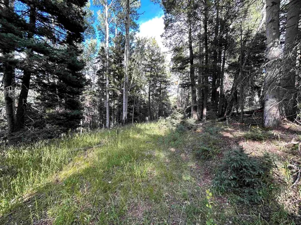 2 Back Basin Rd, Angel Fire, NM 87710