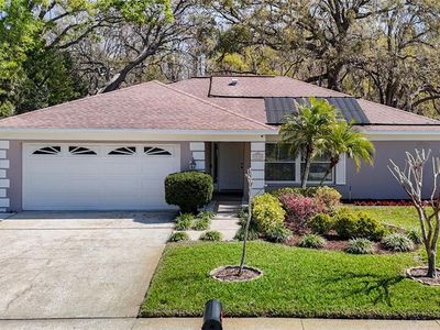 3212 Player Dr, New Port Richey, FL, 34655