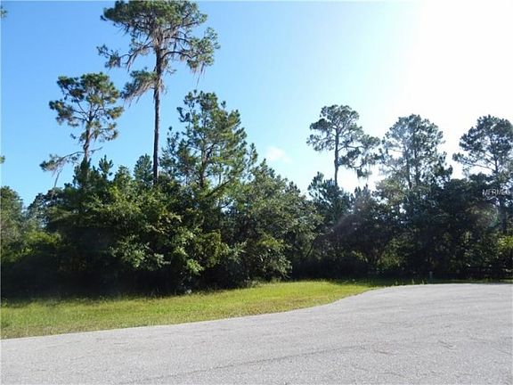4th image of 0 E Pine Woods Ln