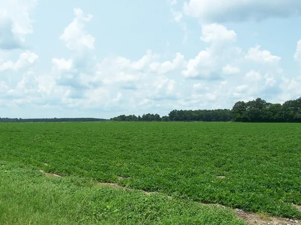 0 Old, Elloree, SC 29047