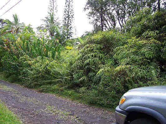 2nd image of Kahukai St Lot 19