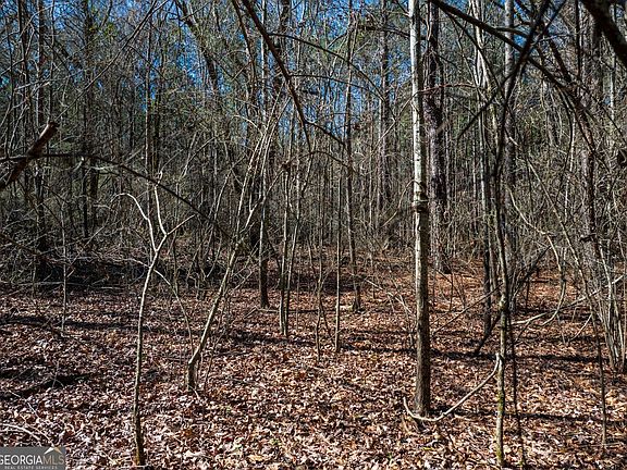 4th image of 0 Hines Rd Tract A