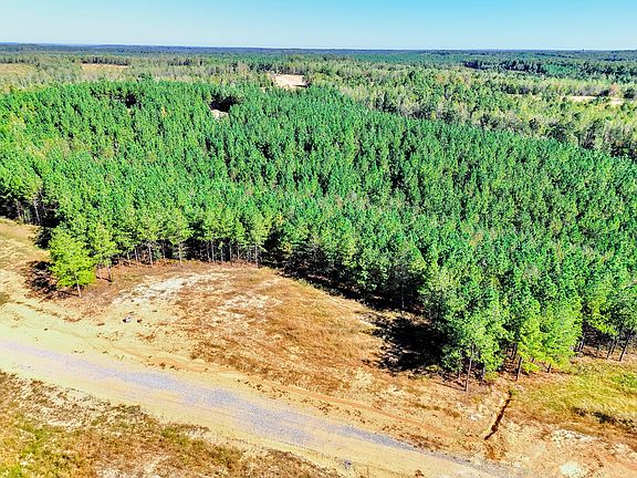 4th image of 0 Warren Proctor Ln Lot 33
