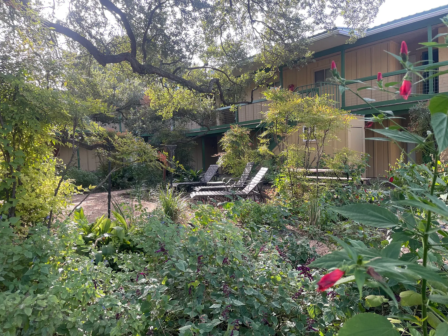 The West Annie — Photo 3