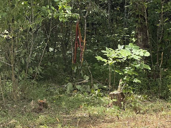 3rd image of 0 Woodbury Pike