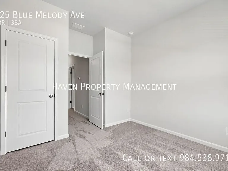 125 Blue Melody Ave — Photo 17