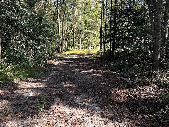 4th image of Off Of Earl Price Rd