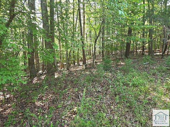 3rd image of 0 Stonewall Jackson Trl