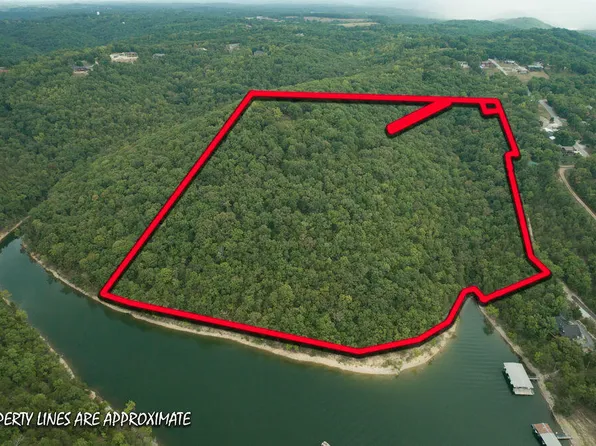 97 Whitedove Lane, Lampe, MO 65681