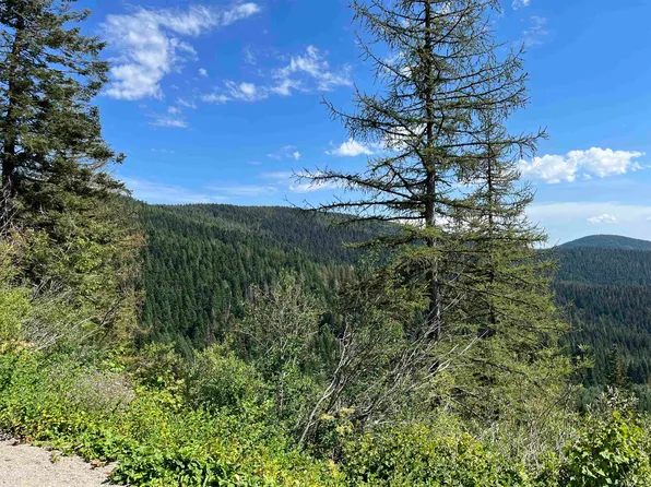 35 Snowblaze Rec Tract, Mead, WA 99021