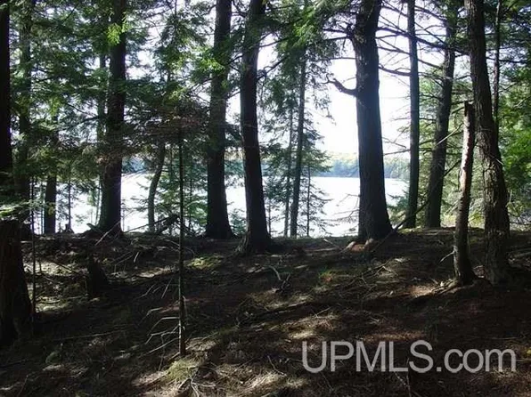 Channel Rd Lot 1, Watersmeet, MI 49969
