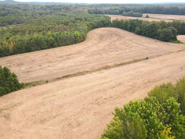 Butler Chapel Rd, Ramer, TN 38367