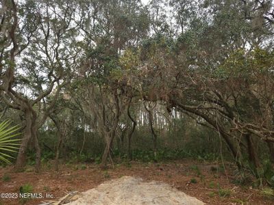1580 COUNTY ROAD 309, Georgetown, FL, 32139