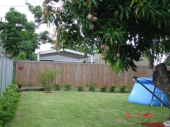 back yard 