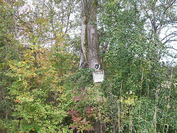 2nd image of County Route 19 Lot 19