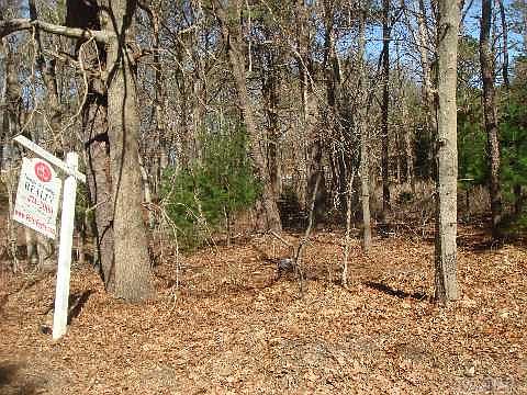 2nd image of Gull Dip Rd