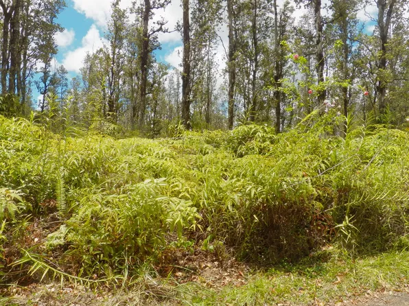 Road G Kele #Wao, Kurtistown, HI 96760