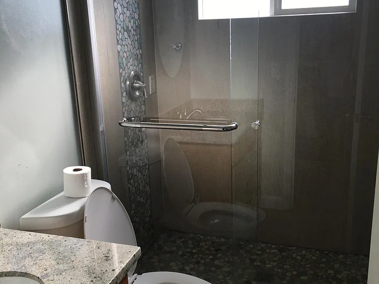 bathroom showing the pebble tile shower
