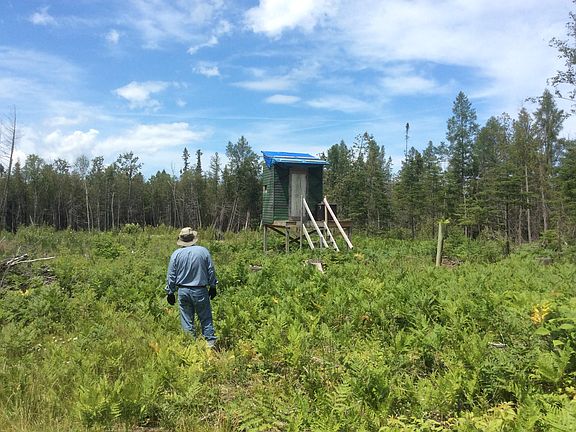 4th image of 16061 Misiak Hwy
