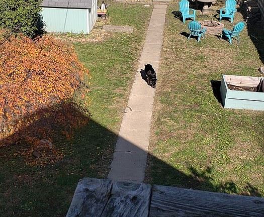 5th image of 1432 Woodlawn Ave