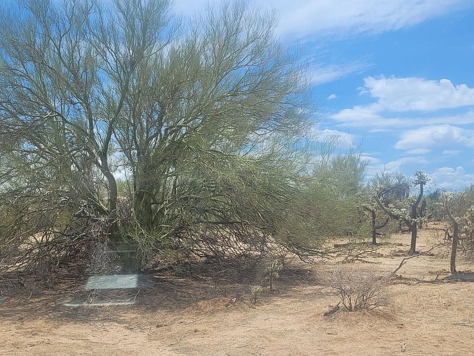 2nd image of 15671 W Many Horses Rd #24