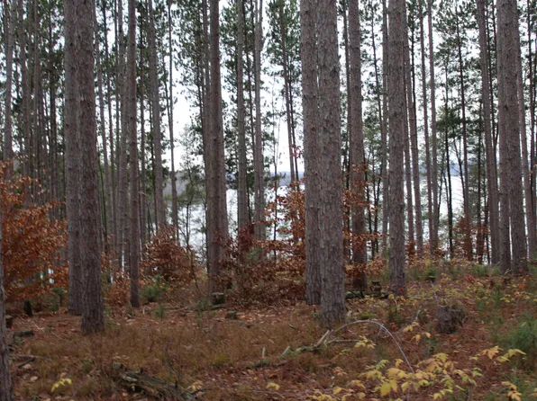 Ville #M-37, Mesick, MI 49668