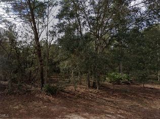 917 David Ave, Interlachen, FL 32148