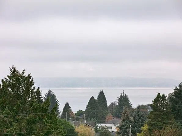 View On California - Spacious with Modern Updates, fireplace (select units) & private balcony | P..., 6041 California Ave SW #305, Seattle, WA 98136