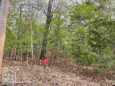 1 Mc #7002, Flippin, AR, 72634