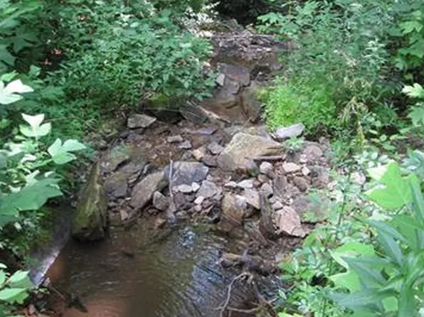 554 Perry McDowell Trl, Zirconia, NC 28790