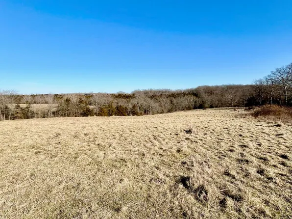 Mount Hope Rd, California, MO 65018