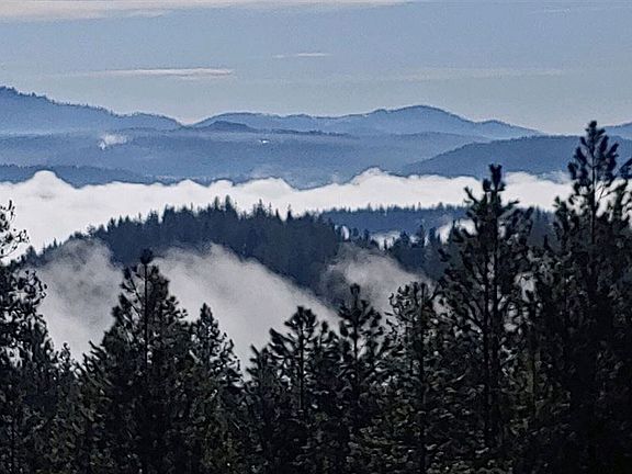 4th image of 26XX Pine Top Way