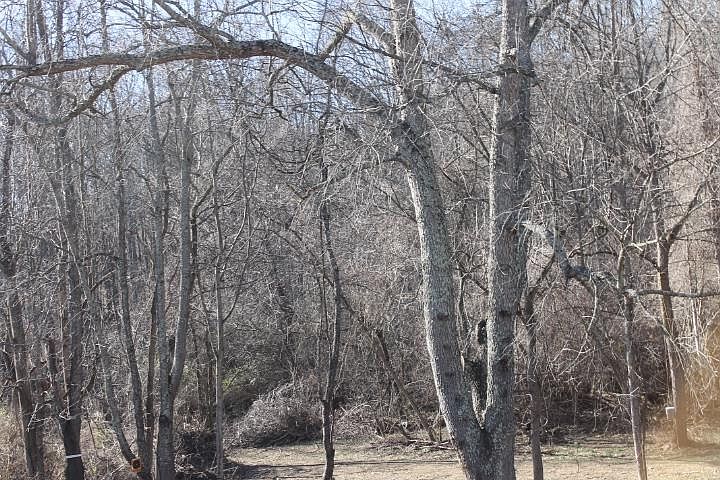 1st image of Trs 1 2 17410 Self Hill Dr