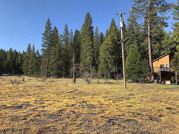 Lava cap in back yard