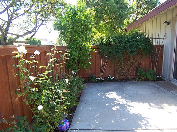 5th image of 1695 Tiburon Ct