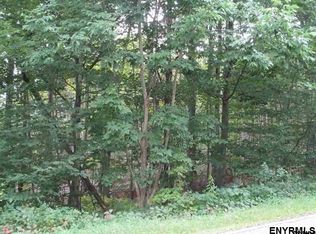 38 Alpine Meadows Rd, Porter Corners, NY 12859