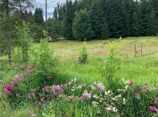 615 Independence Rd, Rochester, WA 98579