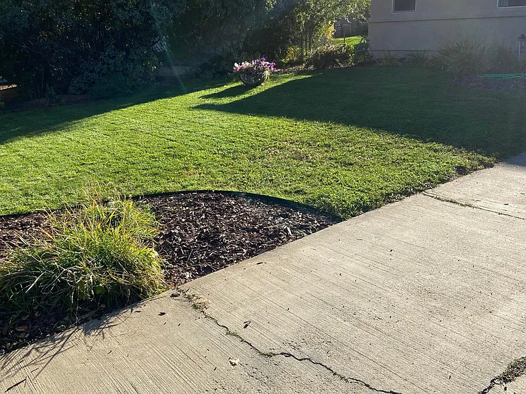 Front yard