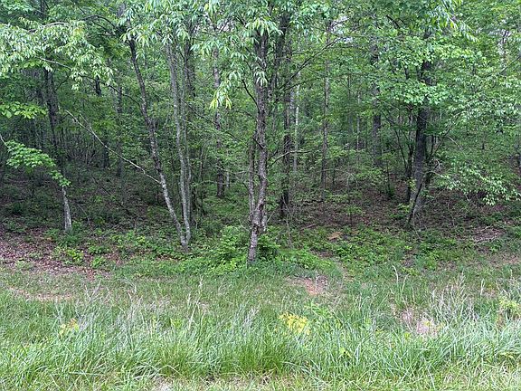 2nd image of Saddle Ln