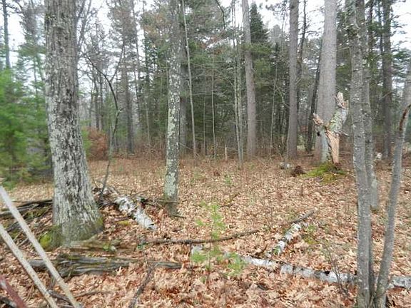 5th image of Oakwood Dr Lot 20