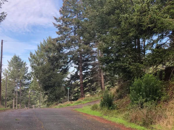 27 Buckhorn Ct, Whitethorn, CA 95589